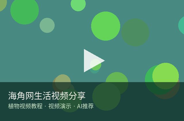 黑丝