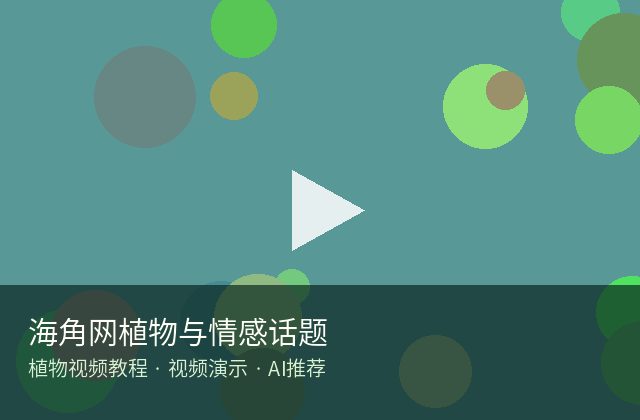 黑丝